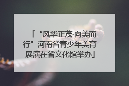 “风华正茂·向美而行”河南省青少年美育展演在省文化馆举办