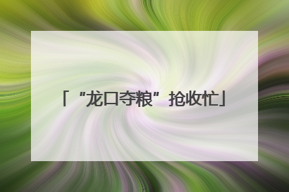 “龙口夺粮”抢收忙