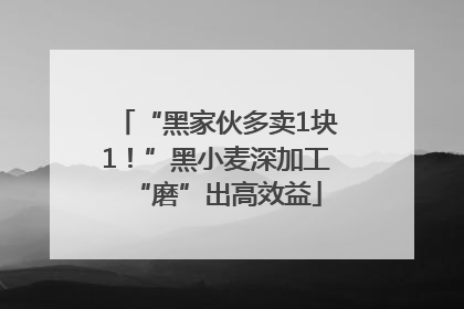 “黑家伙多卖1块1！”黑小麦深加工“磨”出高效益