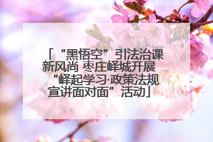“黑悟空”引法治课新风尚 枣庄峄城开展“峄起学习·政策法规宣讲面对面”活动