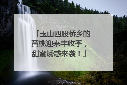 玉山四股桥乡的黄桃迎来丰收季，甜蜜诱惑来袭！