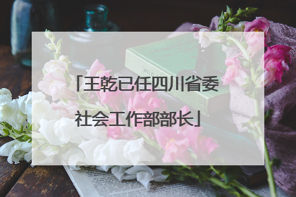 王乾已任四川省委社会工作部部长