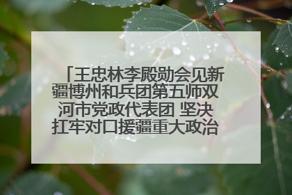 王忠林李殿勋会见新疆博州和兵团第五师双河市党政代表团 坚决扛牢对口援疆重大政治责任 推动双方实现优势互补务实合作