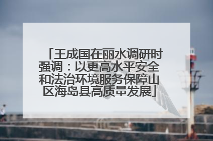 王成国在丽水调研时强调：以更高水平安全和法治环境服务保障山区海岛县高质量发展