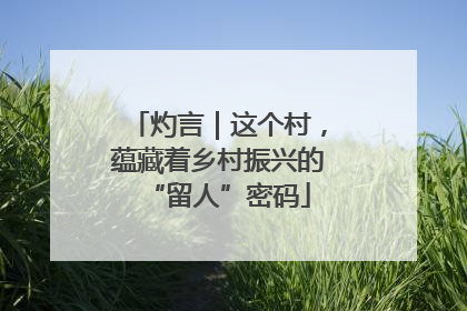 灼言｜这个村，蕴藏着乡村振兴的“留人”密码