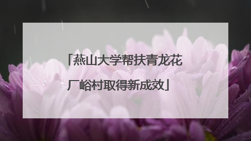 燕山大学帮扶青龙花厂峪村取得新成效