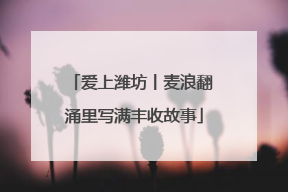 爱上潍坊丨麦浪翻涌里写满丰收故事