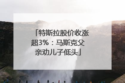 特斯拉股价收涨超3%：马斯克父亲劝儿子低头