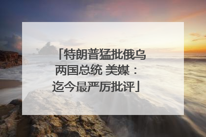 特朗普猛批俄乌两国总统 美媒：迄今最严厉批评