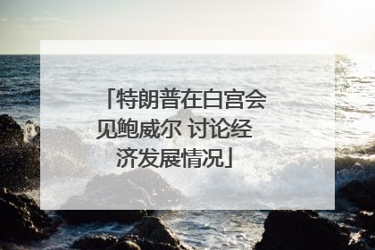 特朗普在白宫会见鲍威尔 讨论经济发展情况