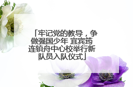 牢记党的教导，争做强国少年 宜宾筠连镇舟中心校举行新队员入队仪式