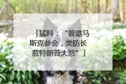 猛料：“曾邀马斯克参会，美防长惹特朗普大怒”