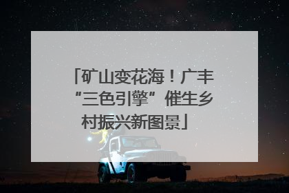 矿山变花海！广丰“三色引擎”催生乡村振兴新图景