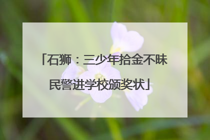 石狮：三少年拾金不昧 民警进学校颁奖状