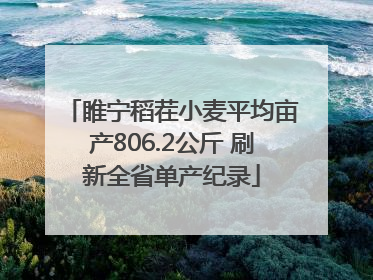 睢宁稻茬小麦平均亩产806.2公斤 刷新全省单产纪录