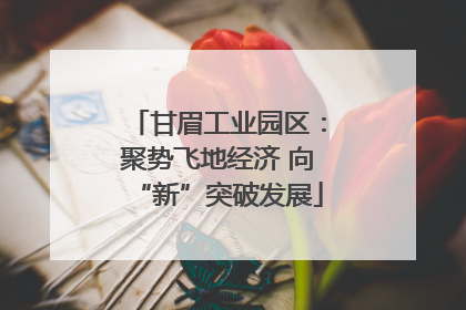 甘眉工业园区：聚势飞地经济 向“新”突破发展
