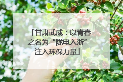 甘肃武威：以青春之名为“陇电入浙”注入环保力量