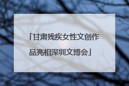 甘肃残疾女性文创作品亮相深圳文博会