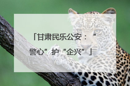 甘肃民乐公安：“警心”护“企兴”