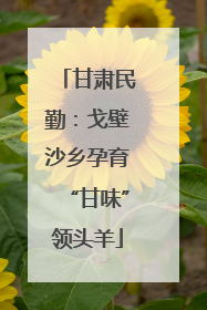 甘肃民勤：戈壁沙乡孕育“甘味”领头羊