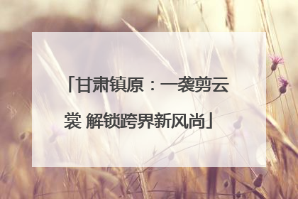 甘肃镇原：一袭剪云裳 解锁跨界新风尚