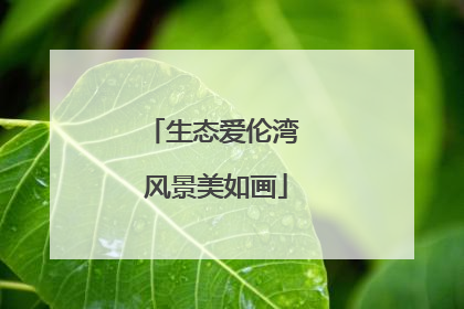 生态爱伦湾 风景美如画