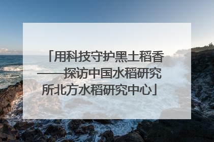用科技守护黑土稻香——探访中国水稻研究所北方水稻研究中心