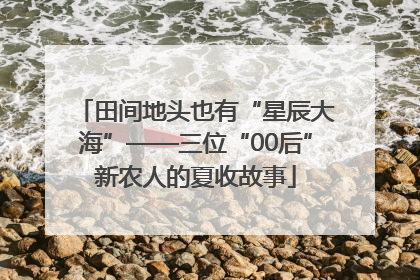 田间地头也有“星辰大海”——三位“00后”新农人的夏收故事