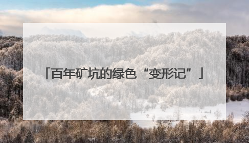 百年矿坑的绿色“变形记”