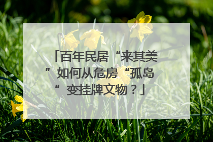 百年民居“来其美”如何从危房“孤岛”变挂牌文物？