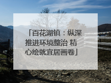 百花湖镇：纵深推进环境整治 精心绘就宜居画卷