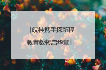 皖桂携手探新程 教育数转启华章