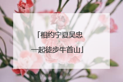 相约宁夏吴忠 一起徒步牛首山