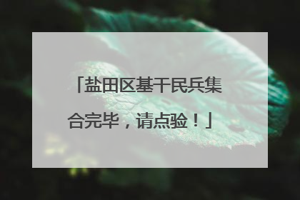 盐田区基干民兵集合完毕，请点验！