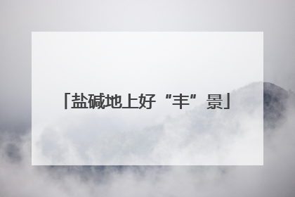 盐碱地上好“丰”景