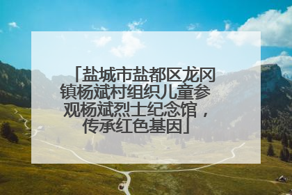 盐城市盐都区龙冈镇杨斌村组织儿童参观杨斌烈士纪念馆，传承红色基因