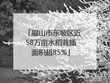 眉山市东坡区近58万亩水稻栽插面积超85%