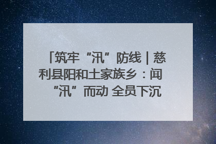 筑牢“汛”防线｜慈利县阳和土家族乡：闻“汛”而动 全员下沉筑牢防汛“安全堤”
