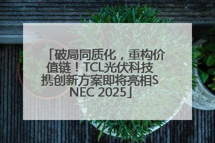 破局同质化，重构价值链！TCL光伏科技携创新方案即将亮相SNEC 2025