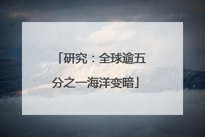 研究：全球逾五分之一海洋变暗