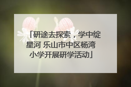 研途去探索，学中绽星河 乐山市中区杨湾小学开展研学活动