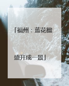 福州：蓝花楹盛开成一景