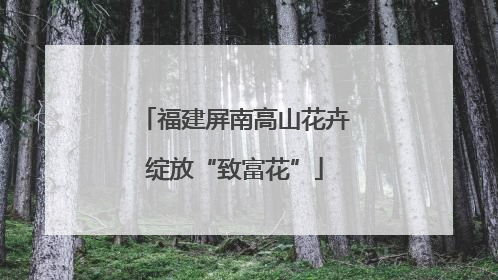 福建屏南高山花卉绽放“致富花”