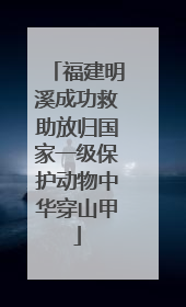 福建明溪成功救助放归国家一级保护动物中华穿山甲