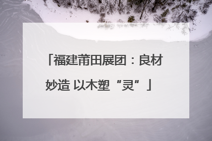 福建莆田展团：良材妙造 以木塑“灵”