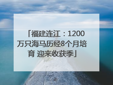 福建连江：1200万只海马历经8个月培育 迎来收获季