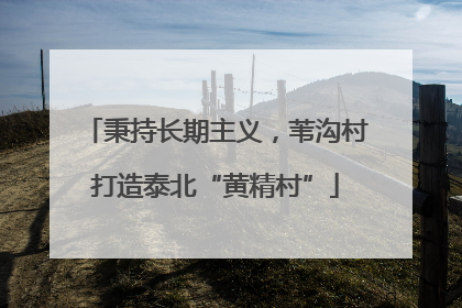 秉持长期主义，苇沟村打造泰北“黄精村”
