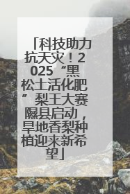科技助力抗天灾！2025“黑松土活化肥”梨王大赛隰县启动，旱地香梨种植迎来新希望