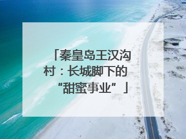 秦皇岛王汉沟村：长城脚下的“甜蜜事业”