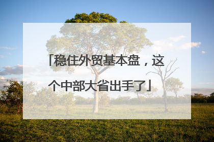 稳住外贸基本盘，这个中部大省出手了